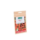 Graines de tomate cerise bio botanic - graines à semer - BOTANIC® en promo chez Botanic Graines de tomate cerise bio botanic - graines à semer - BOTANIC® dans le catalogue Botanic