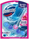 Reinigen im REWE Prospekt Domestos Power 5 Blauspüler von Domestos im aktuellen REWE Prospekt für 1,29 €