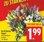 Tulpen Angebote von Gut & Günstig bei EDEKA Suhl für 1,99 €