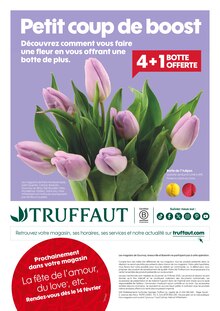 Promo Orchidée dans le catalogue Truffaut du moment à la page 8