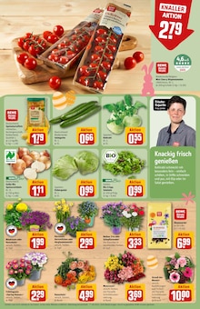 Kartoffeln im REWE Prospekt "Dein Markt" mit 34 Seiten (Berlin)