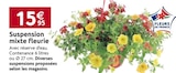 Suspension mixte fleurie - LaMaison.fr à Caen Suspension mixte fleurie en promo chez LaMaison.fr Caen à 15,95 €