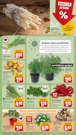 Aktueller REWE Prospekt mit Bio, "Dein Markt", Seite 7