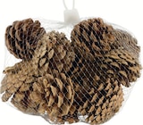 Aktuelle Weihnachtsdeko Angebote bei Zimmermann in Bremerhaven Aktuelles Pinienzapfen Angebot bei Zimmermann in Bremerhaven ab 1,99 €
