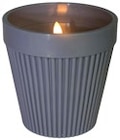 Aktuelles LED-Kerze im Blumentopf Angebot bei Thomas Philipps in Mannheim ab 1,99 €