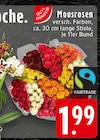 Moosrosen bei EDEKA im Wallenhorst Prospekt für 1,99 €