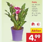 Netto Marken-Discount Dörverden Prospekt mit  im Angebot für 4,99 €