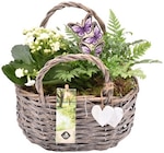 Aktuelles Weidentasche »Herzenskraft« Angebot bei REWE in Hannover ab 9,99 €