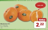combi Rinteln Prospekt mit  im Angebot für 2,22 €
