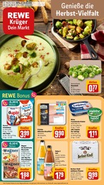 REWE Prospekt für Birkenhain mit 36 Seiten REWE Prospekt für Birkenhain: Dein Markt, 36 Seiten, 20.10.2025 - 25.10.2025