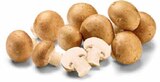 Champignons im Netto Marken-Discount Prospekt Champignon braun im aktuellen Netto Marken-Discount Prospekt für 1,79 €