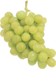 Bio Trauben hell im Angebot bei Hieber in Freiburg Bio Trauben hell Angebote bei Hieber Freiburg für 3,99 €