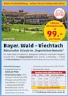 Hotel am Pfahl im aktuellen Penny Prospekt