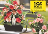 Promo 8 renoncules et 9 orchidées avec vierge à 19,99 € dans le catalogue Centrakor "TOUSSAINT"