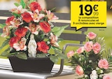 Centrakor - 8 renoncules et 9 orchidées avec vierge : offre du catalogue Promo 8 renoncules et 9 orchidées avec vierge à 19,99 € dans le catalogue Centrakor "TOUSSAINT"