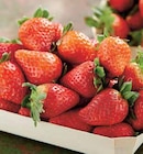 Intermarché Agde - Promo Fraise ronde Promo Fraise ronde à 2,99 € dans le catalogue Intermarché à Agde