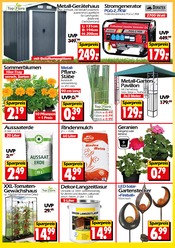 Ähnliche Angebote wie Gartenzwerg im Prospekt "Aktuelle Angebote" auf Seite 31 von Wreesmann in Cottbus