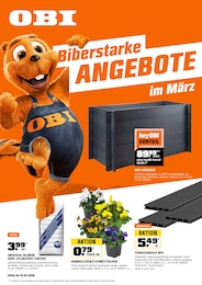 OBI Pflanzerde im Prospekt 