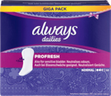 Protections hygiéniques profresh - ALWAYS dans le catalogue Norma