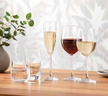 Glas-Serie „Daily“ z. B. Sektglas von Leonardo im aktuellen Segmüller Prospekt