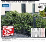 Doppelstabmatte Typ 8/6/8 bei bauSpezi im Hirschaid Prospekt für 31,99 €