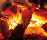 Kaminholz Buche Angebote bei Globus-Baumarkt Freital für 4,79 €