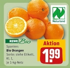 Bio Orangen bei REWE im Rodgau Prospekt für 1,99 €