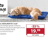 Kühlmatte Lilo bei Dehner Garten-Center im Prospekt "" für 19,99 €
