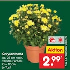 Chrysantheme Angebote bei Netto Marken-Discount Erfurt für 2,99 €