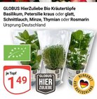 Basilikum im Angebot bei GLOBUS in Leipzig Basilikum Angebote von GLOBUS HierZuliebe bei GLOBUS Leipzig für 1,49 €
