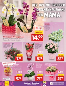 Hortensie im Netto Marken-Discount Prospekt "Aktuelle Angebote" mit 69 Seiten (Chemnitz)