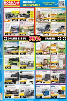Akku Rasenmäher Angebot im aktuellen Norma Prospekt auf Seite 20