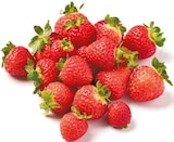 Erdbeeren bei Netto mit dem Scottie im Senftenberg Prospekt für 1,69 €