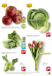 Aktueller E center Prospekt mit Pflanzen, "Aktuelle Angebote", Seite 5