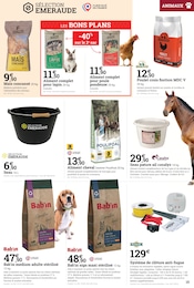 Croquettes Chien en promo dans le catalogue Espace Emeraude à la page 15
