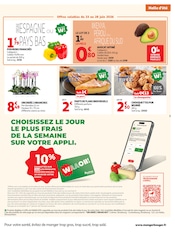 Promos Plante Verte dans le catalogue "LES HALLES d'été" de Auchan Supermarché Plante Verte en promo dans le catalogue Auchan Supermarché à la page 3