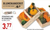 Aktuelle Kürbis Angebote bei Marktkauf in Gelsenkirchen Aktuelles Zierkürbis-Mix im Spankorb Angebot bei Marktkauf in Gelsenkirchen