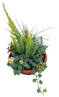 BayWa AG - Herbstschale bepflanzt Angebot im Prospekt Herbstschale bepflanzt bei BayWa AG im Prospekt "" für 13,99 €
