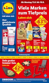 Aktueller Lidl Discounter Prospekt in Haltern am See und Umgebung, "LIDL LOHNT SICH" mit 71 Seiten, 11.08.2025 - 16.08.2025