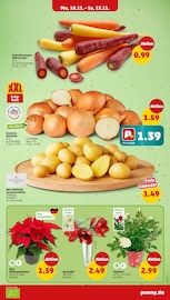 Aktueller Penny Prospekt mit Garten, "Wer günstig will, muss Penny.", Seite 3