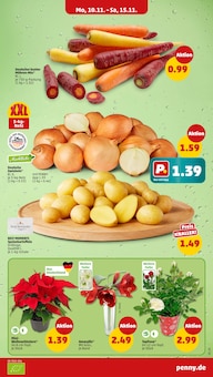 Gemüse im Penny Prospekt "Wer günstig will, muss Penny." mit 41 Seiten (Würzburg)