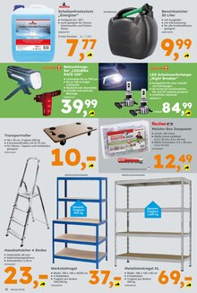 Teppich im Globus-Baumarkt Prospekt "Immer eine Idee besser" mit 13 Seiten (Salzgitter)