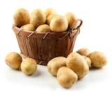 Lidl Colombelles - Promo Pomme de terre frite Promo Pomme de terre frite à 0,79 € dans le catalogue Lidl à Colombelles