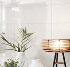 Wandfliese Polaris Angebote bei Globus-Baumarkt Tübingen für 9,79 €