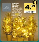 künstliche Pflanze von dekorado für 4,99 € bei Netto mit dem Scottie im Angebot künstliche Pflanze von dekorado im aktuellen Netto mit dem Scottie Prospekt