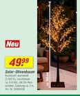 Solar-Olivenbaum im aktuellen toom Baumarkt Prospekt