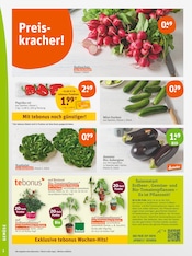 Paprika im tegut Prospekt in Eisenach Aktueller tegut Prospekt mit Paprika, "tegut… gute Lebensmittel", Seite 4