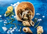 BULOTS CUITS - SANS MARQUE en promo à 4,49 € chez Auchan Hypermarché BULOTS CUITS - SANS MARQUE dans le catalogue Auchan Hypermarché