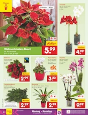 Aktueller Netto Marken-Discount Prospekt mit Garten, "Aktuelle Angebote", Seite 6