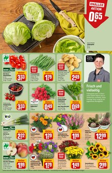 Blumen im aktuellen REWE Prospekt (Ludwigshafen (Rhein)) Blumen im REWE Prospekt "Dein Markt" mit 28 Seiten (Ludwigshafen (Rhein))